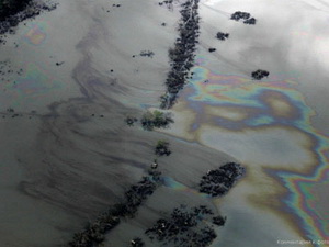 Malaysia điều tra vụ tràn dầu, ô nhiễm nguồn nước