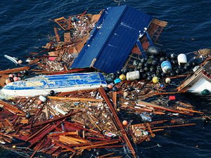 Ngày càng nhiều rác sóng thần dạt bờ biển Bắc Mỹ