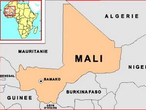 Tư lệnh ECOWAS họp bàn về can thiệp quân sự Mali