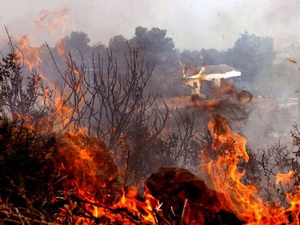 Cháy rừng vẫn tiếp tục hoành hành tại Tây Ban Nha