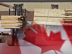 Tăng trưởng kinh tế Canada chậm lại trong tháng 5