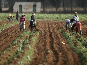 Nam Phi hạn chế diện tích đất do tư nhân sở hữu