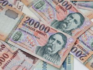 Hungary muốn tham gia khu vực dùng đồng tiền chung