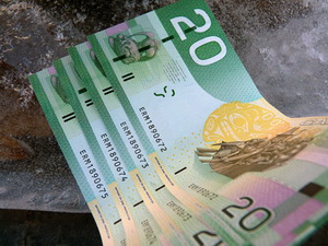 Canada tăng cường đầu tư mạo hiểm hỗ trợ tư nhân
