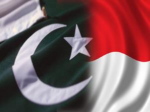 Pakistan-Indonesia giúp giải quyết vấn đề Afghanistan