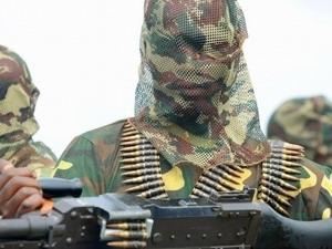 Nigeria tiêu diệt và bắt hơn 100 nghi can khủng bố