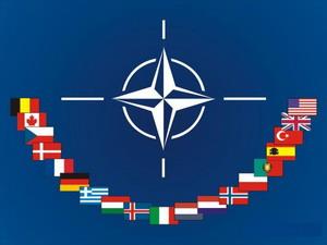 Áo bắt nghi can âm mưu tấn công mục tiêu NATO