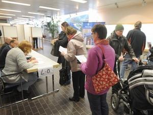 Chính phủ Phần Lan tiến hành cuộc tổng tuyển cử